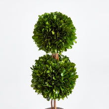 Load image into Gallery viewer, BOXWOOD DOUBLE SPHERE TOPIARY DROP-IN 20"

