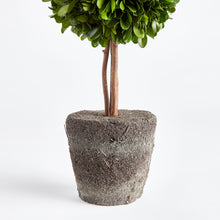 Load image into Gallery viewer, BOXWOOD DOUBLE SPHERE TOPIARY DROP-IN 20"
