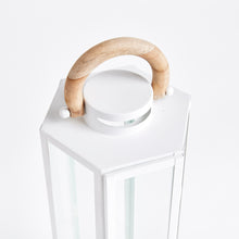 Load image into Gallery viewer, DOCKSIDE OUTDOOR LANTERN LARGE
