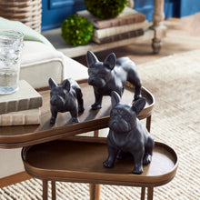 Load image into Gallery viewer, THREE DOG NIGHT, SET OF 3
