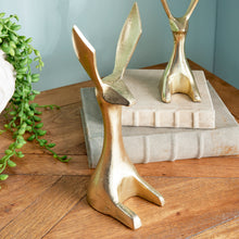 Load image into Gallery viewer, JACKRABBITS, SET OF 2
