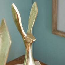 Load image into Gallery viewer, JACKRABBITS, SET OF 2
