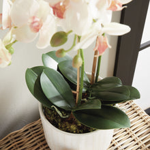 Load image into Gallery viewer, PHALAENOPSIS ORCHID DROP-IN 23"
