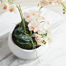 Load image into Gallery viewer, PHALAENOPSIS 16" MINI GARDEN DROP-IN
