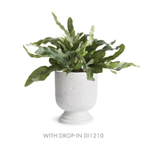Load image into Gallery viewer, ISADORA FOOTED URN LARGE
