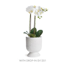Load image into Gallery viewer, ISADORA FOOTED URN LARGE
