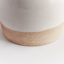 Load image into Gallery viewer, LEONA WIDE VASE
