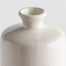 Load image into Gallery viewer, LEONA BOTTLE VASE LARGE
