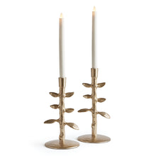 Load image into Gallery viewer, BRIER TAPER HOLDERS, SET OF 2
