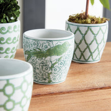 Load image into Gallery viewer, IMPERIAL MINI FLOWER POTS, SET OF 6
