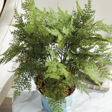 Load image into Gallery viewer, PLUMOSA FERN DROP-IN 21"
