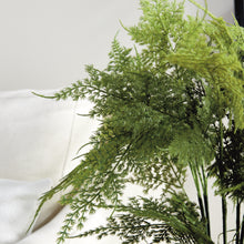 Load image into Gallery viewer, PLUMOSA FERN DROP-IN 21"
