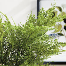 Load image into Gallery viewer, PLUMOSA FERN DROP-IN 21"
