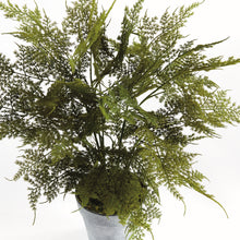 Load image into Gallery viewer, PLUMOSA FERN DROP-IN 21"

