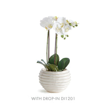 Load image into Gallery viewer, AVANI POT LARGE
