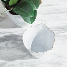 Load image into Gallery viewer, MARIBELLA CACHEPOTS, SET OF 2
