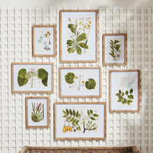 Load image into Gallery viewer, FLORA AND FAUNA GALLERY PRINTS, SET OF 8
