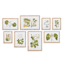 Load image into Gallery viewer, FLORA AND FAUNA GALLERY PRINTS, SET OF 8
