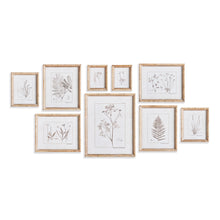 Load image into Gallery viewer, BOTANICAL STUDY IN SEPIA, SET OF 9
