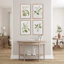 Load image into Gallery viewer, ORCHID ASSORTMENT STUDY, SET OF 4
