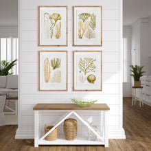 Load image into Gallery viewer, VERDANT CORAL STUDY, SET OF 4
