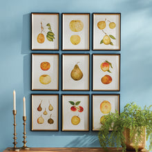 Load image into Gallery viewer, ASSORTED FRUITS STUDY, SET OF 9
