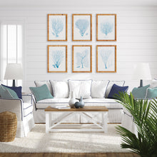 Load image into Gallery viewer, SEA FAN AND CORAL STUDY IN BLUE, SET OF 6
