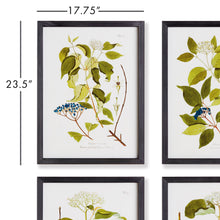 Load image into Gallery viewer, FLORAL AND BERRY STUDY, SET OF 4
