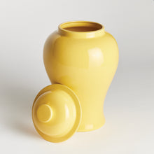 Load image into Gallery viewer, KOA LIDDED GINGER JAR SMALL
