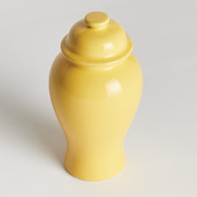 Load image into Gallery viewer, KOA LIDDED MINI GINGER JAR SMALL
