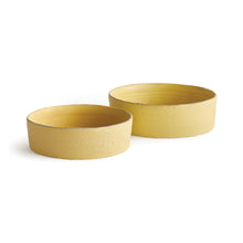 Load image into Gallery viewer, STUDIO DECORATIVE LOW BOWLS, SET OF 2

