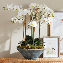 Load image into Gallery viewer, PHALAENOPSIS ORCHID BOWL DROP-IN 35"
