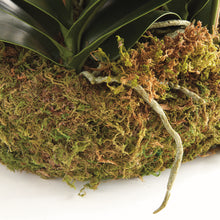 Load image into Gallery viewer, PHALAENOPSIS ORCHID BOWL DROP-IN 35"
