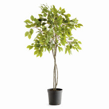 Load image into Gallery viewer, FICUS TREE DROP-IN 51"
