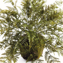 Load image into Gallery viewer, SOFT FERN DROP-IN 18.5"
