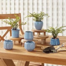 Load image into Gallery viewer, DEZIE MINI POTS, SET OF 6
