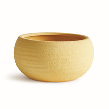 Load image into Gallery viewer, ANDERSON DECORATIVE BOWL
