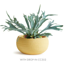 Load image into Gallery viewer, ANDERSON DECORATIVE BOWL
