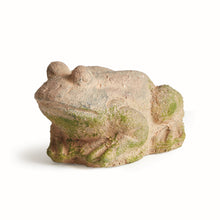 Load image into Gallery viewer, WEATHERED GARDEN FROG
