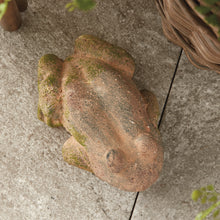 Load image into Gallery viewer, WEATHERED GARDEN FROG
