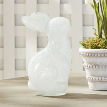 Load image into Gallery viewer, DAISY MAE BUNNY LARGE
