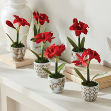 Load image into Gallery viewer, PROVINCE MINI FLOWER POTS, SET OF 6
