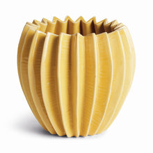 Load image into Gallery viewer, NIKKO POT LARGE
