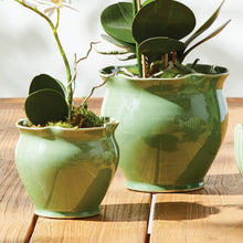 Load image into Gallery viewer, MEGAN POTS, SET OF 2
