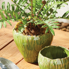 Load image into Gallery viewer, EVELYN POT LARGE
