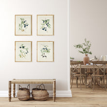 Load image into Gallery viewer, OLIVE STEMS STUDY, SET OF 4
