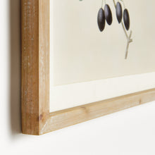 Load image into Gallery viewer, OLIVE STEMS STUDY, SET OF 4
