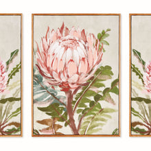 Load image into Gallery viewer, QUEEN PROTEA GICLEES, SET OF 3
