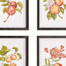 Load image into Gallery viewer, AUTUMNAL FRUIT PRINTS, SET OF 4
