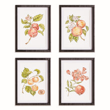 Load image into Gallery viewer, AUTUMNAL FRUIT PRINTS, SET OF 4

